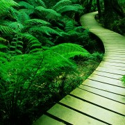 life_is_life